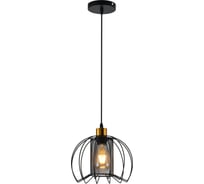 Светильник подвесной (подвес) Rivoli Adelaida 5108-201 1хЕ27 60 Вт лофт-кантри Б0069908