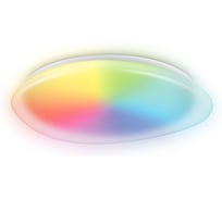 Светильник светодиодный Ambrella Light RGB с пультом FR матовый IP20 60W 3000-6500K+RGB (ПДУ ИК) FZ1615