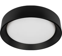 Потолочный светодиодный светильник LOFT IT Coin 10202 BB