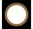 Потолочный светодиодный светильник LOFT IT Coin 10202 BB 4