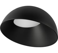 Потолочный светодиодный светильник LOFT IT Egg 10197/500 BB