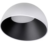Потолочный светодиодный светильник LOFT IT Egg 10197/350 WB