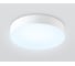Светильник светодиодный Ambrella Light потолочный с пультом WH белый IP20 40W 3000-6500K (ПДУ ИК) FZ1350 4