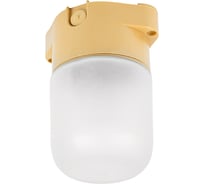 Светильник FERON НББ 01-60-001 138х105х84мм, E27 max 60Вт, прямой пласт. корпус, стекло, IP65, бежевый 53168