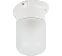 Светильник FERON НББ 01-60-101 112х137х112мм, E27 max 60Вт, прямой керам. корпус, стекло, IP65, белый 53164