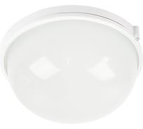 Светильник FERON НБП 03-100-001 255х240х108мм, E27 max 100 Вт, алюм., стекло, IP54, белый 53173