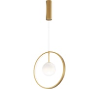 Подвесной светильник Maytoni Paparazzi MOD407PL-L12G3K1