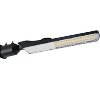 Светильник уличный ДКУ 25 ALB M-AC-50-S5-750 G8983