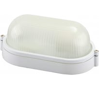 Влагозащищенный светильник СВЕТОЗАР SV-57201-W, уличный