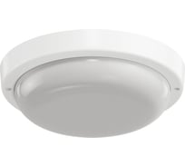 Светильник светодиодный герметичный OGM 12Вт, 900лм, 4000К, IP65, Ф140х38мм, круг, белый / О28-05