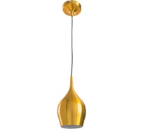 Светильник подвесной ARTE LAMP A6412SP-1GO