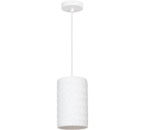 Светильник подвесной ARTE LAMP A7096SP-1WH