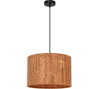 Светильник подвесной ARTE LAMP A7089SP-1BK