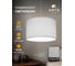Светильник подвесной ARTE LAMP A5071SP-1SS 5