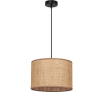 Светильник подвесной ARTE LAMP A7090SP-1BK