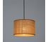 Светильник подвесной ARTE LAMP A7090SP-1BK 2