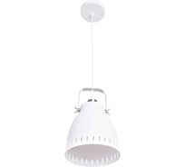 Светильник подвесной ARTE LAMP A2214SP-1WH