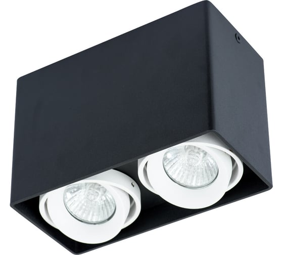 Светильник потолочный ARTE LAMP A5655PL-2BK 1