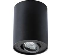 Светильник потолочный ARTE LAMP A5644PL-1BK