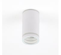 Накладной светильник General Lighting Systems Спот под лампу GU10, серия Шпиль, GWL-GU10-M-IP65, цвет белый 661962