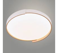 Светильник Росток 23825/500 A WT белый 96W LED 3000-6000К d500, LCY23 988372636