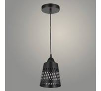 Подвес Росток 6172/1HQ BK черный 1х60W E27 d130 h800, SSH25 988408381