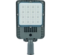 Уличный светодиодный светильник FERON 150W 5000K AC90-300V/ 50Hz цвет серый 53026