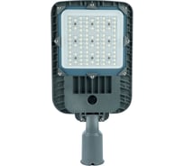 Уличный светодиодный светильник FERON 100W 5000K AC90-300V/ 50Hz цвет серый 53025