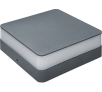 Светильник Navigator NOF-D-W-004-02 80563