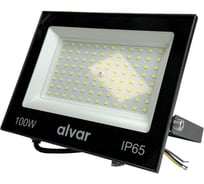 Светодиодный прожектор Alvar 100Вт, 6000К холодный, 220В AL-FL100W