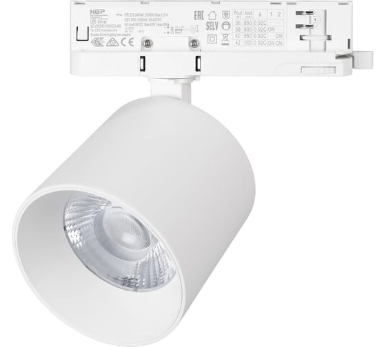 Светильник Arlight LGD-DYKE-4TR-R100-36W Day4000, 1шт 058696