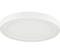 Светильник потолочный СОНЕКС LED 12W NEBULA WHITE 7790/12L