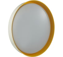 Настенно-потолочный светильник СОНЕКС LED 76W TUNA YELLOW 7711/ELN