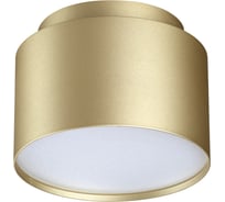 Светильник накладной NOVOTECH GX53 12W LIRIO 371039