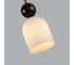 Подвесной светильник ODEON LIGHT E14 40W LOLLA 4361/1B 3