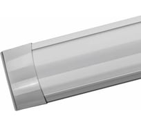 Светильник ОНЛАЙТ 61 931 ODPO-04-36-4K-LED 61931