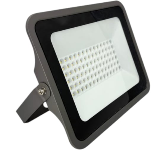 Прожектор светодиодный truEnergy 100W 6500K 8000Lm IP66 284x212x35 серый металл 13116