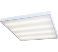 Потолочный светильник ВСЕСВЕТОДИОДЫ Армстронг 40Вт, 4800Лм, 4000К, Опал (Класс 1) vs202-40-op-4k-z