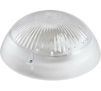 Светильник DIODEX Led Люмос Регулар 6Вт 5500К, белый 4603789756098
