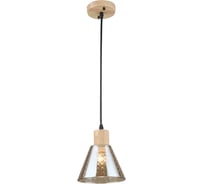 Подвесной светильник ARTE LAMP LANCASTER A5891SP-1BK