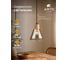 Подвесной светильник ARTE LAMP LANCASTER A5891SP-1BK 4