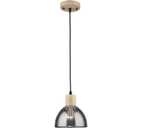 Подвесной светильник ARTE LAMP LANCASTER A5869SP-1BK