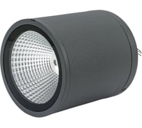 Светильник Navigator NOF-D-W-027-02 80637