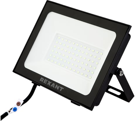 Светодиодный прожектор REXANT 100 Вт зеленое свечение 605-018