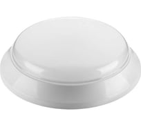Светильник WOLTA Pro ХОЛЛ с датчиком SM матовый ДБО02-24-021-4К