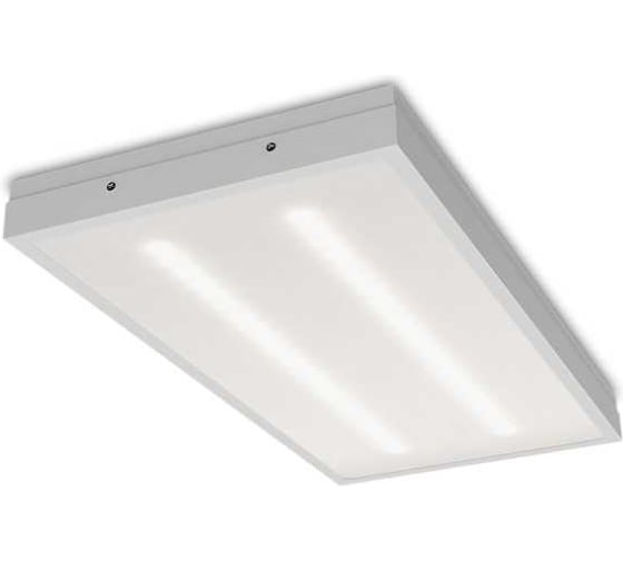 Светильник WOLTA Pro ЧИСТЫЙ ОФИС GL матовый ДВО03-18-205-4К