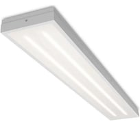 Светильник WOLTA Pro ЛАЙНЕР IP54 GL матовый ДПО03-36-105-4К