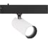 Светильник светодиодный трековый Ambrella Light Magnetic SMART 220V 25мм BK/WH черный/белый IP20 9W 3000-6000K 24 D55х120 GL8020 1