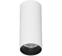Светильник потолочный Белый LED 1х7W 4000K 560Lm Ra 90 60 IP20 D52xH125 220-240VV ST luce ST170.542.07