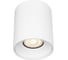 Светильник потолочный Белый GU1х50W IP20 D80xH95 220V Без ламп ST luce ST167.502.01 1